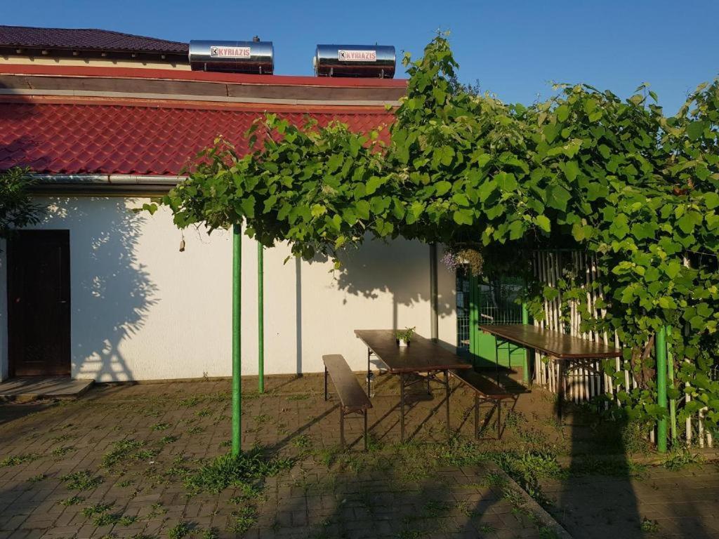 Vila Orizont Venus Zewnętrze zdjęcie