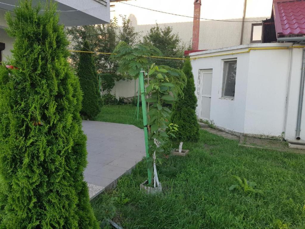 Vila Orizont Venus Zewnętrze zdjęcie
